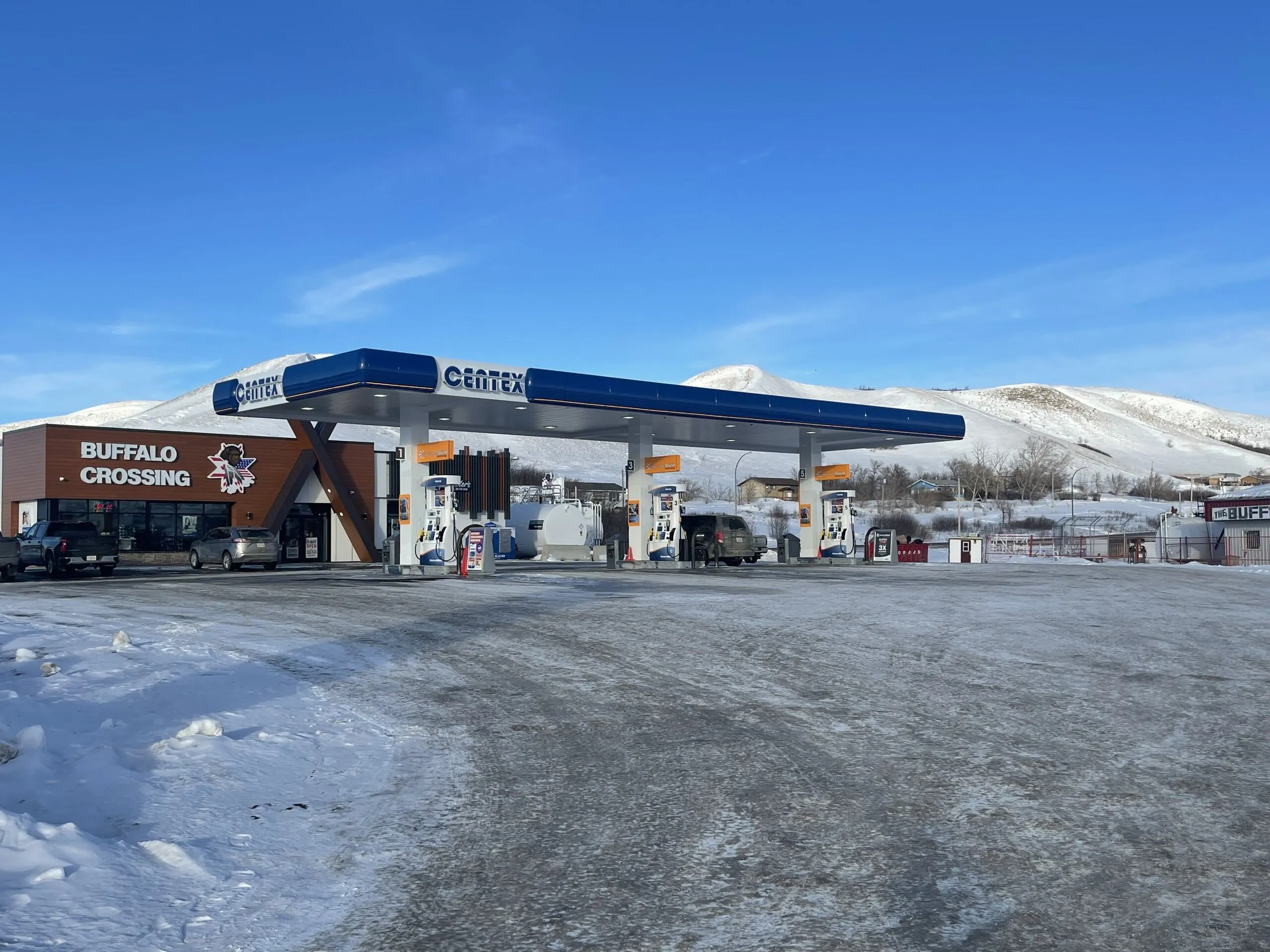 Read more about the article Standing Buffalo FN