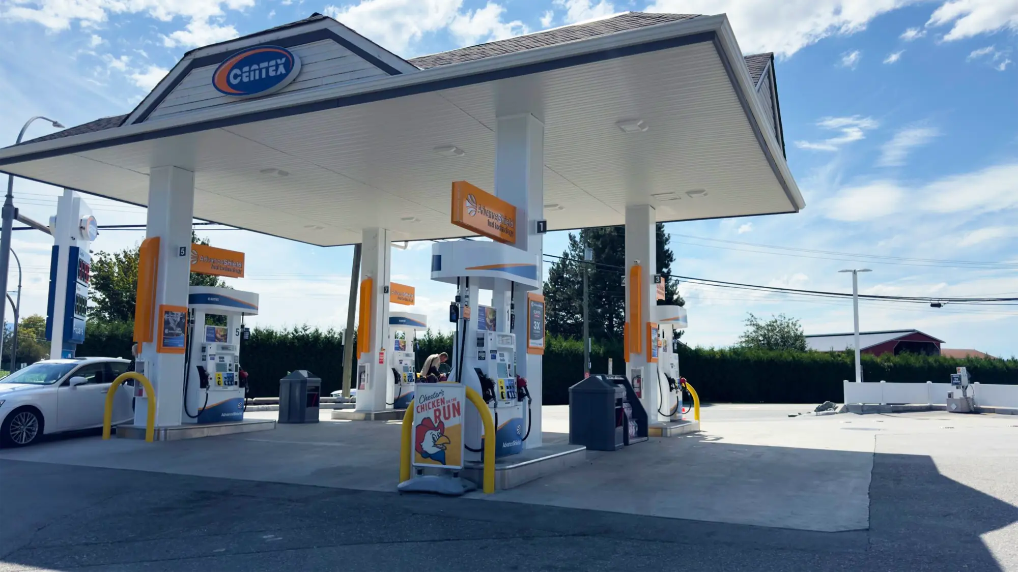 Read more about the article Matsqui