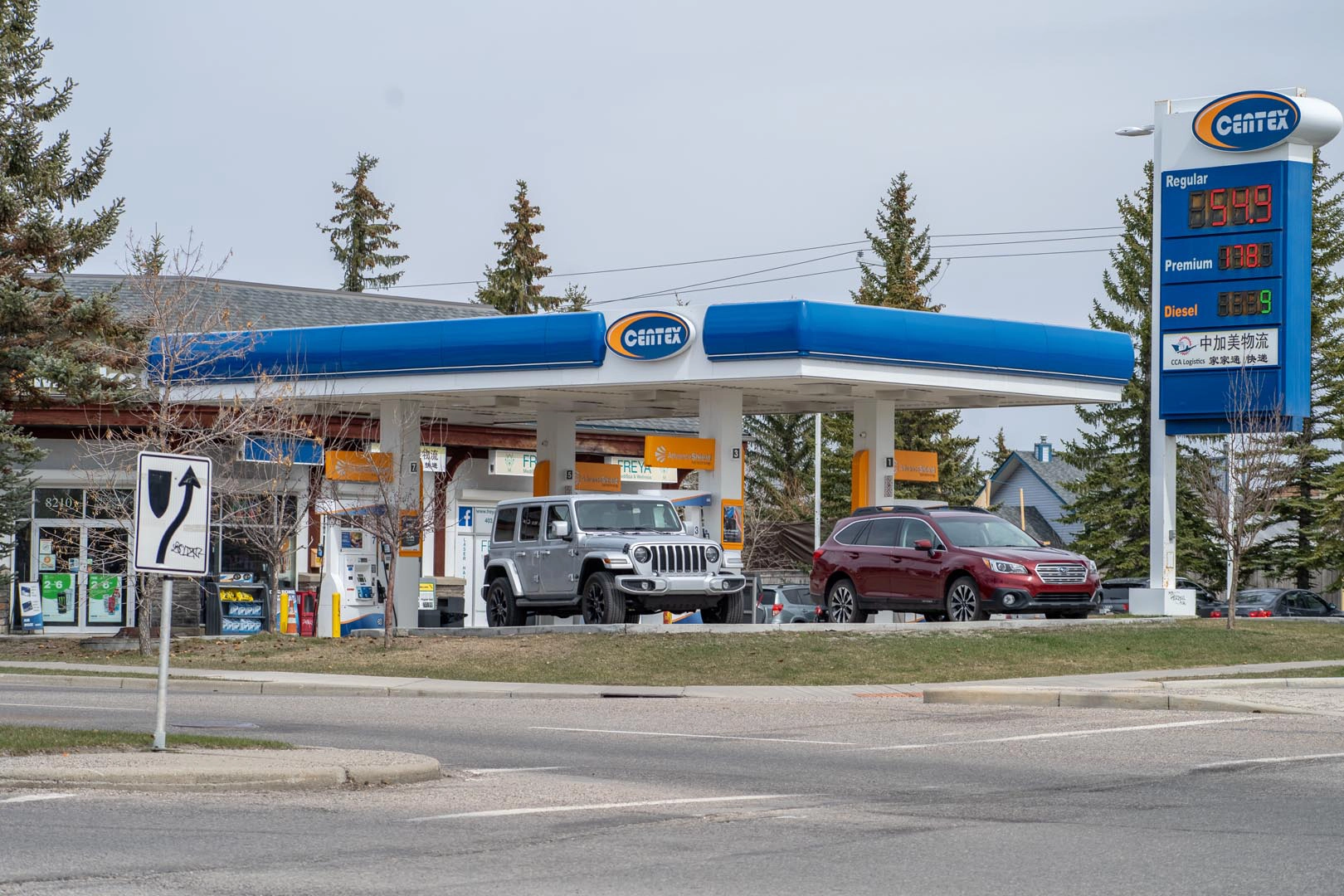 Read more about the article Edgemont